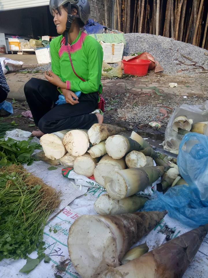 Người Mông hái măng rừng mang xuống chợ phiên Bắc Yên